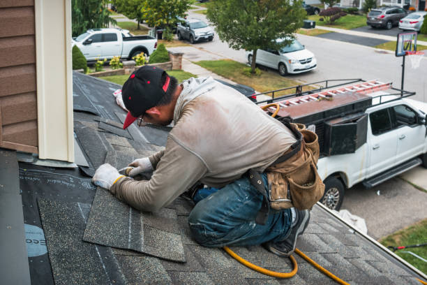 Professional Roof Leak Repair technician working in Philo, IL